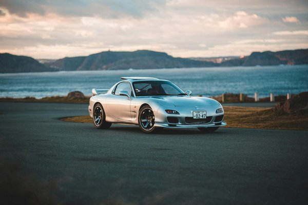 Effektive Strategien zur Reduzierung von Katzenhaaren in Ihrem Zuhause: So bleiben Ihre Räume fellfrei!